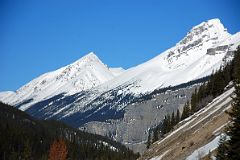 12 Cirrus Mountain From Icefields Parkway